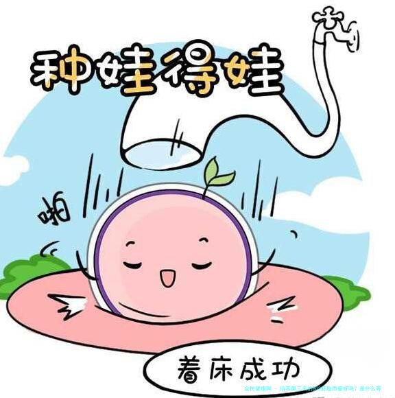 培养第三天的802胚胎质量好吗？是什么等级？