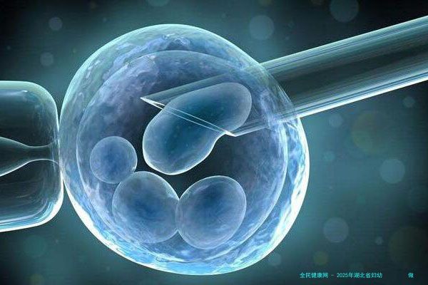 2025年湖北省妇幼         做试管婴儿生孩女成功率费用一览