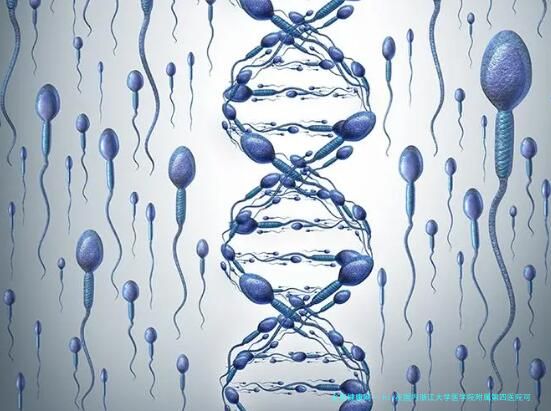 hiv在国内浙江大学医学院附属第四医院可以做试管婴儿吗？需要什么条件和要求