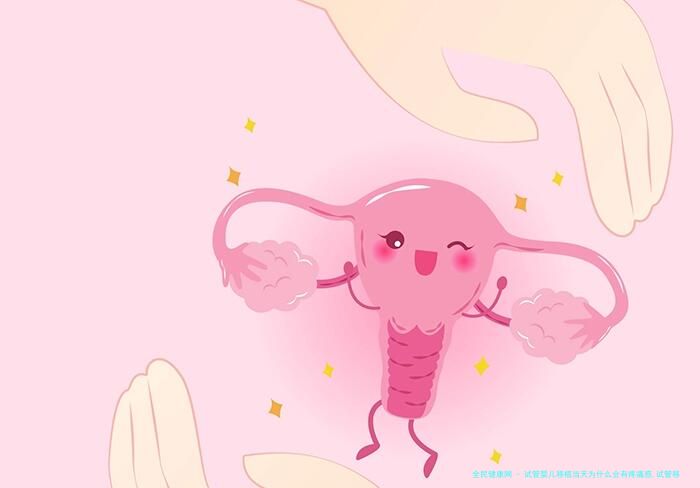试管婴儿移植当天为什么会有疼痛感,试管移植当天有什么感觉！