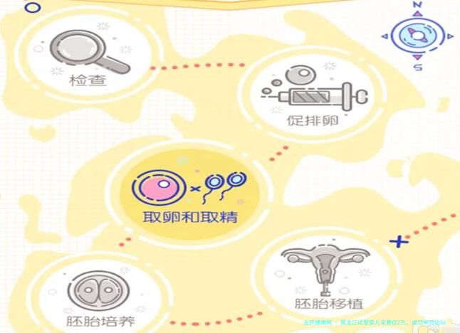 黑龙江试管婴儿花费仅2万，成功率可达50？实事求是看数据