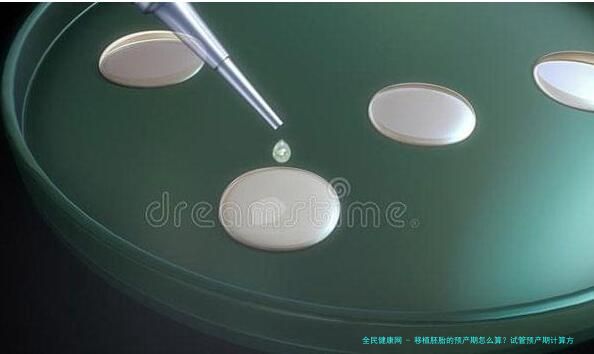 移植胚胎的预产期怎么算？试管预产期计算方法