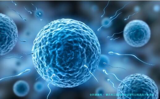 肇庆西江医院供-精试管可以挑选孩子做多胎胎吗?
