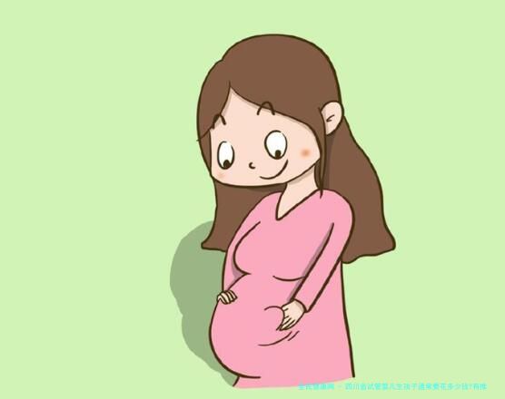 四川省试管婴儿生孩子通常要花多少钱?有推荐的医院吗？