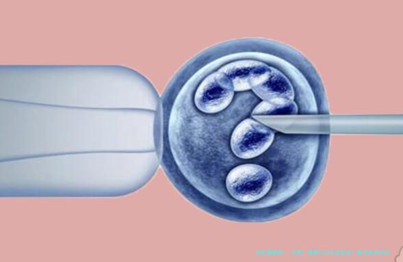注意！想要2024年龙宝宝？最迟受孕时间别错过