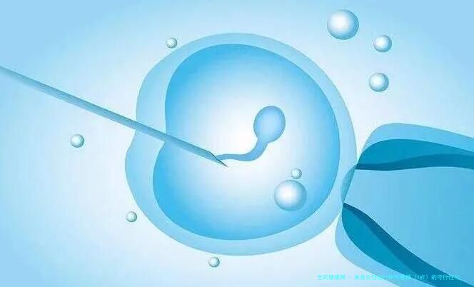 单身女性进行体外受精（IVF）的可行性与考虑因素