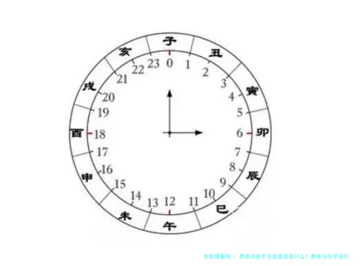 黄体功能不全的原因是什么？黄体与怀孕有什么关系？黄体功能不全对试管婴儿成功率有何影响？