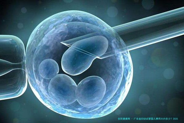 广东省妇幼试管婴儿费用大约多少？2025助孕全流程收费公开