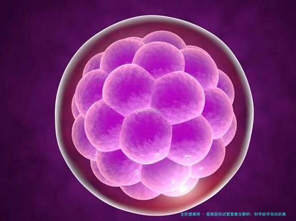 爱维医院试管套餐全解析：科学助孕背后的真实故事