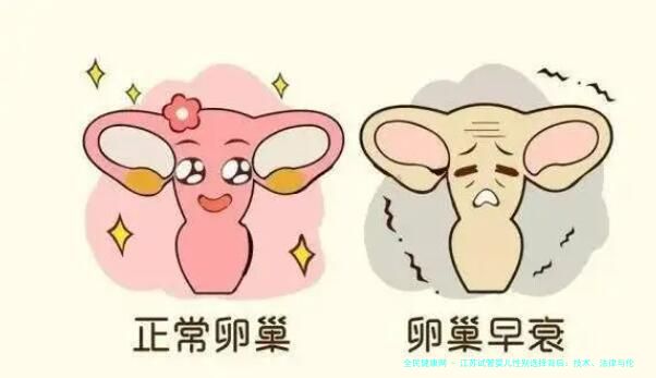 江苏试管婴儿性别选择背后：技术、法律与伦理的博弈