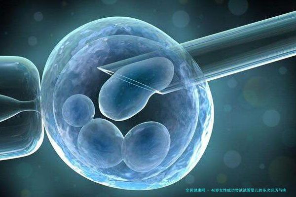46岁女性成功尝试试管婴儿的多次经历与挑战