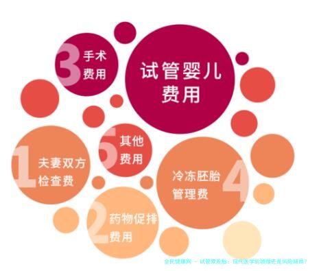 试管双胞胎：现代医学的馈赠还是风险赌局？