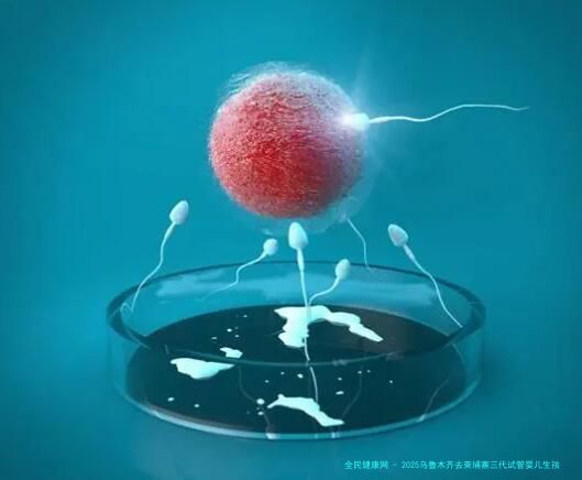 2025乌鲁木齐去柬埔寨三代试管婴儿生孩子费用大约多少钱？柬埔寨试管助孕机构？