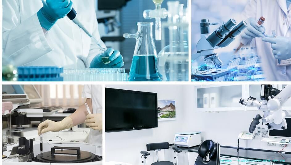 一代试管婴儿技术中的性别选择：科学、伦理与法律的交织