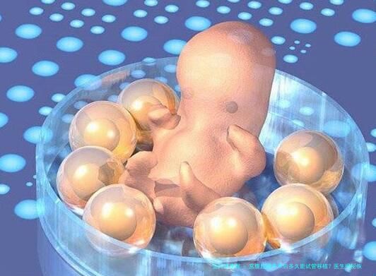 宫腹腔镜手术后多久能试管移植？医生揭秘恢复期与备孕关键