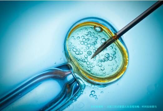 北医三院试管婴儿全流程攻略：时间安排表与实战经验分享