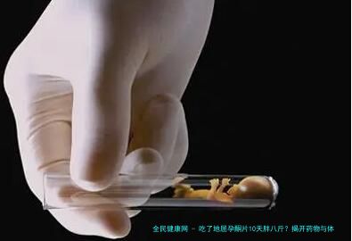 吃了地屈孕酮片10天胖八斤？揭开药物与体重变化的隐秘关联