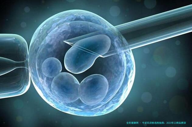 牛初乳奶粉选购指南：2023年口碑品牌深度解析