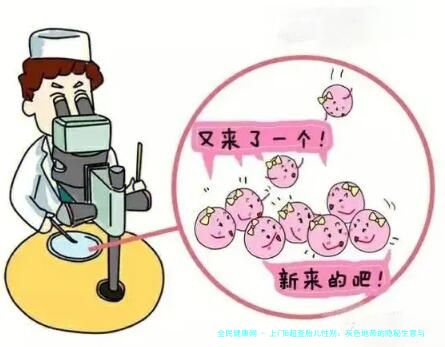 上门B超查胎儿性别：灰色地带的隐秘生意与伦理困局
