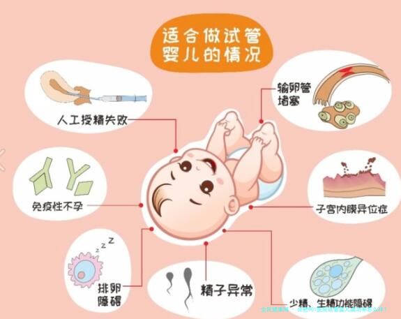 合肥901医院试管婴儿成功率怎么样？