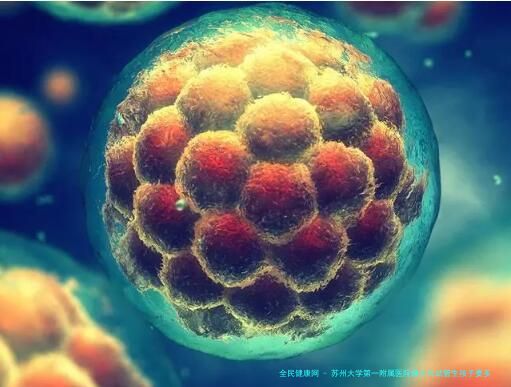 苏州大学第一附属医院做三代试管生孩子要多少钱？你知道吗？