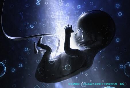 2024新西兰羊奶粉十大名牌排行榜：真实口碑与科学选购指南