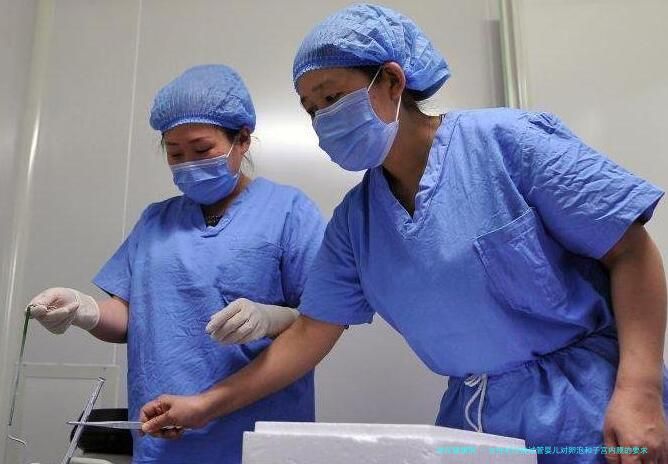 女性初次做试管婴儿对卵泡和子宫内膜的要求