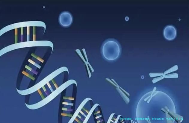 试管胚胎分级：科学背后的「优等生」与「潜力股」