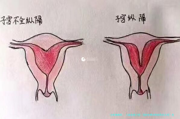三胎家庭注意！国家免费孕检到底怎么领？有人欢喜有人愁