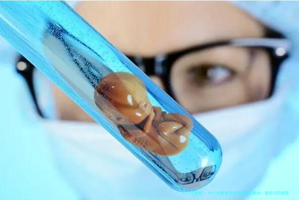 体外受精囊胚移植的优点解析：着床与药物需求探讨