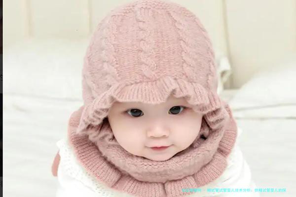 精试管试管婴儿技术分析：供精试管婴儿的探讨与展望（2024版）