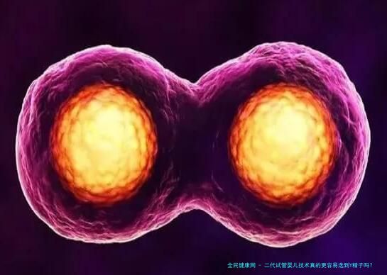 二代试管婴儿技术真的更容易选到Y精子吗？生殖医生带你揭秘实验室真相