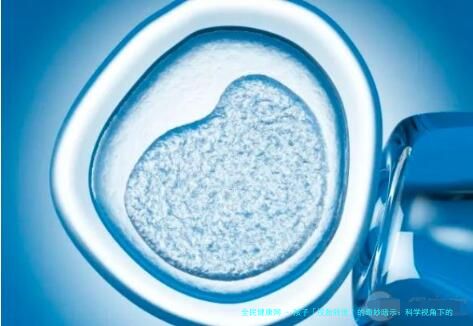 孩子「投胎转世」的奇妙暗示：科学视角下的生命密码解读