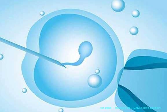 弱精症症状解析：从精液异常到生育困难的全面指南