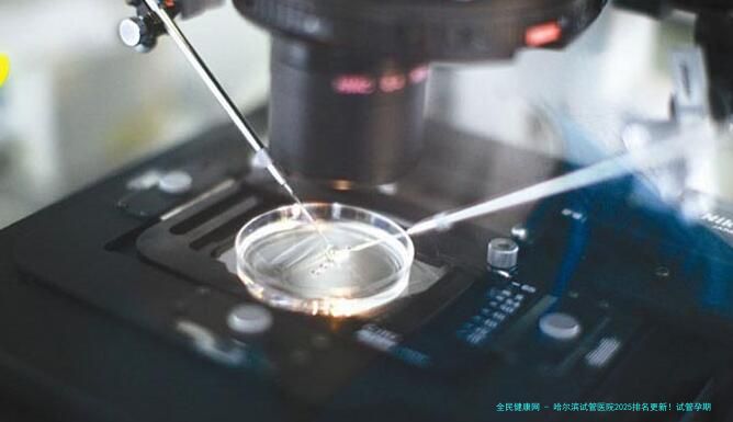 哈尔滨试管医院2025排名更新！试管孕期有什么注意事项