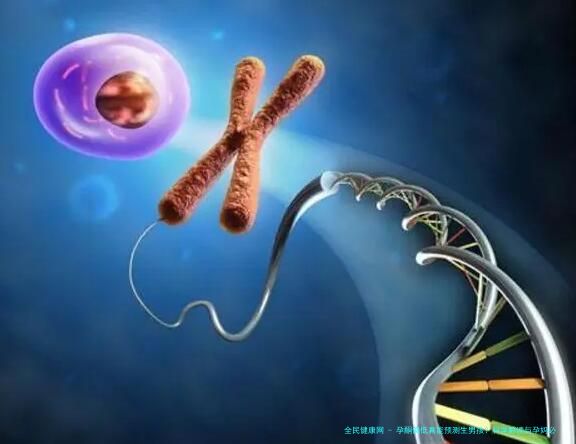 孕酮偏低真能预测生男孩？科学解读与孕妈必读指南