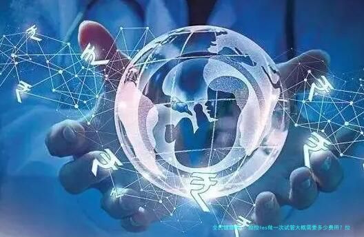 拉拉les做一次试管大概需要多少费用？拉拉做试管是两个人的孩子吗？