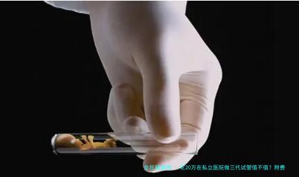 花20万在私立医院做三代试管值不值？附费用组成+成功案例！