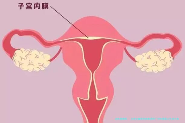 正常夫妻是否能够选择广州试管婴儿生育方案？