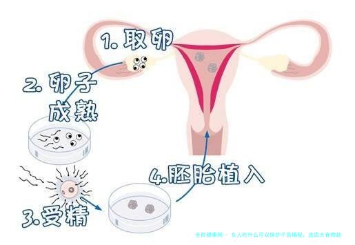 女人吃什么可以保护子宫揭秘，这四大食物越吃越健康