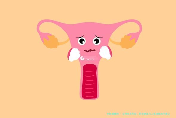 女性生育年龄：科学建议与人生选择的平衡之道