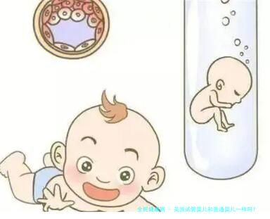 美国试管婴儿和普通婴儿一样吗？