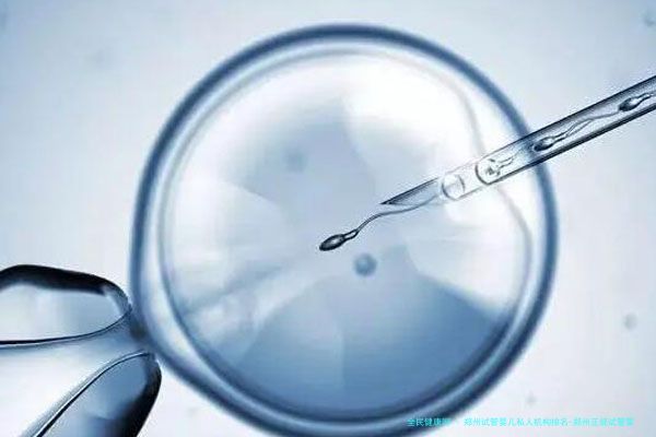 郑州试管婴儿私人机构排名-郑州正规试管婴儿医院！