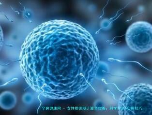 女性排卵期计算全攻略：科学方法+实用技巧帮你精准锁定黄金受孕期
