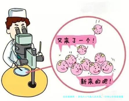 卵泡大小与胎儿的关系，1分钟让你彻底搞懂！