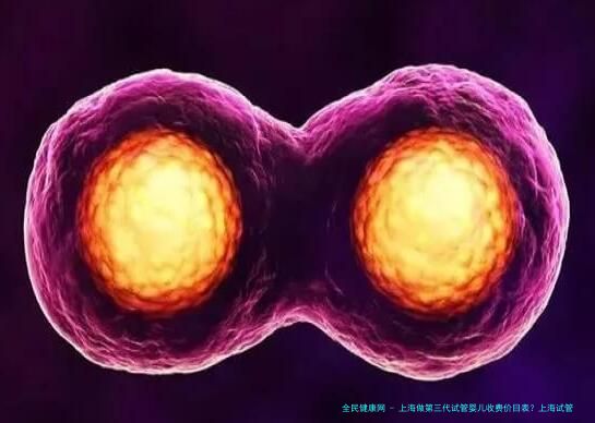 上海做第三代试管婴儿收费价目表？上海试管三代多少钱？
