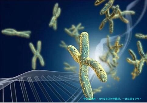 HPV疫苗保护期揭秘：一针能管多少年？