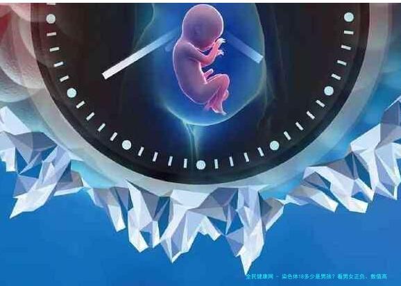 染色体18多少是男孩？看男女正负、数值高低都有玄机