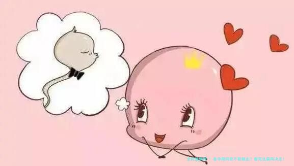 备孕期间能不能献血？看完这篇再决定！