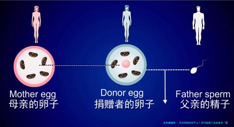 天天同房却怀不上？你可能踩了这些备孕“雷区”